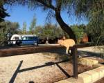 Camping Valle Dei Templi - Agrigento